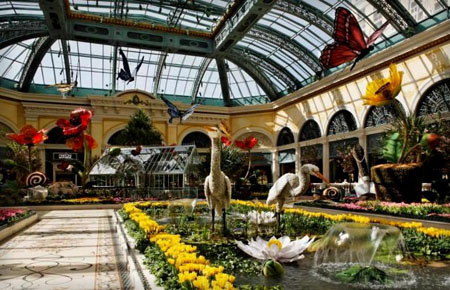 Las Vegas pictures
