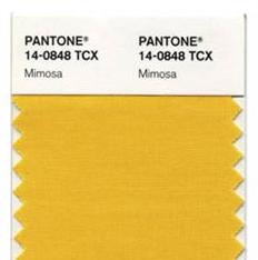 Prepara-se: 2009 ser� amarelo!