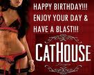 Cathouse - Comfort food for Voyeurs