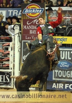 Guilherme Marchi de Leme conquista primeiro lugar no Professional Bull Rider (PBR) 2008, principal competi��o de montaria em touros do mundo.<br />

