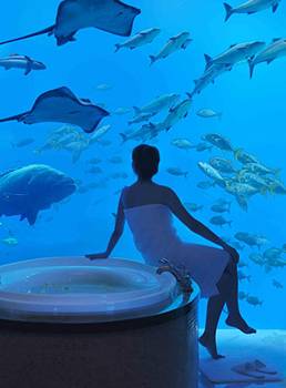 Atlantis the Palm - Dubai