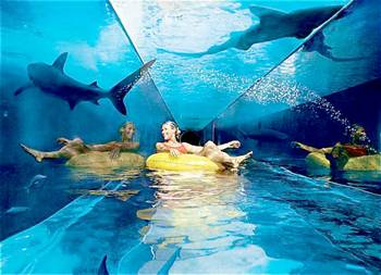 Atlantis the Palm - Dubai