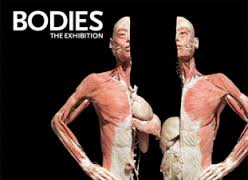 Bodies the Exhibition
