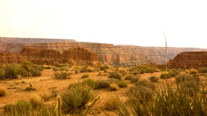 Grand Canyon Helicopter Tours Pictures