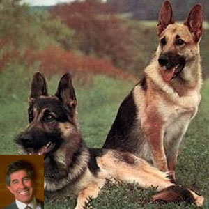 Ciro Batelli - Acontece em Las Vegas 20