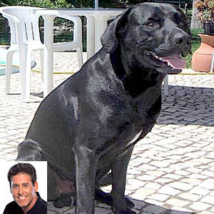 Ciro Batelli - Acontece em Las Vegas 20