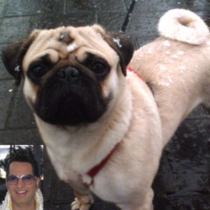 Ciro Batelli - Acontece em Las Vegas 20